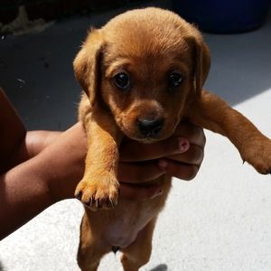 Meet your Posher, Candice